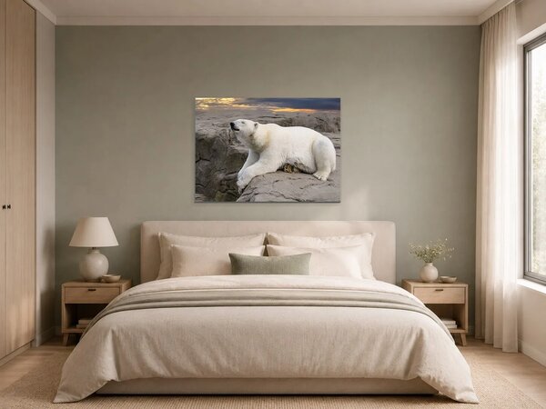 Lední medvěd na skalách při západu slunce – Jednodílný obraz, 70 × 50 cm