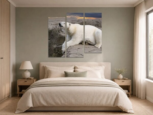 Lední medvěd na skalách při západu slunce – Třídílný obraz C, 150 × 100 cm