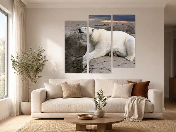 Lední medvěd na skalách při západu slunce – Třídílný obraz C, 150 × 100 cm