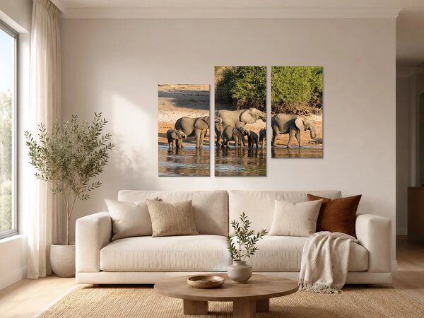 Stádo slonů u napajedla – Třídílný obraz C, 90 × 60 cm