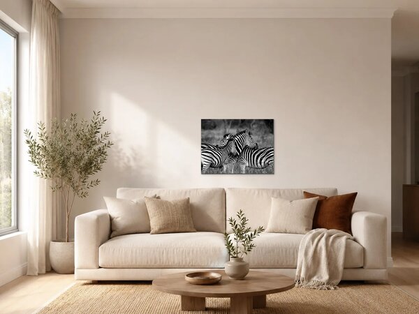 Zebry v černobílém provedení – Jednodílný obraz, 40 × 30 cm