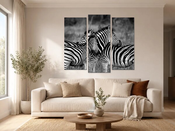 Zebry v černobílém provedení – Třídílný obraz B, 120 × 100 cm