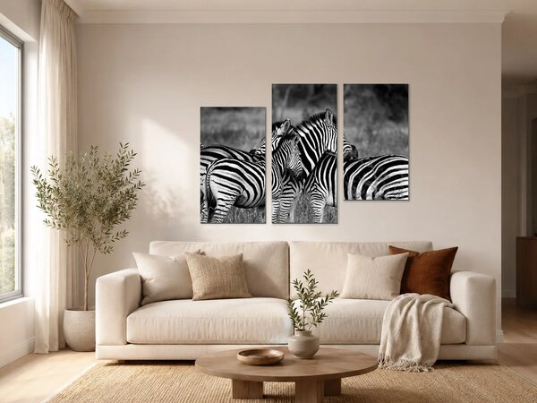 Zebry v černobílém provedení – Třídílný obraz C, 90 × 60 cm