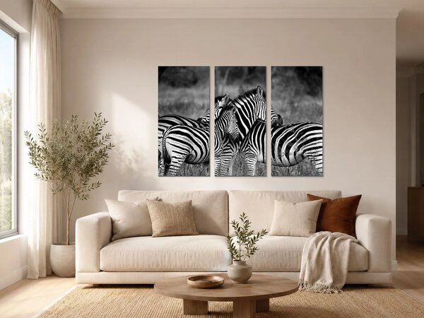 Zebry v černobílém provedení – Třídílný obraz A, 90 × 60 cm