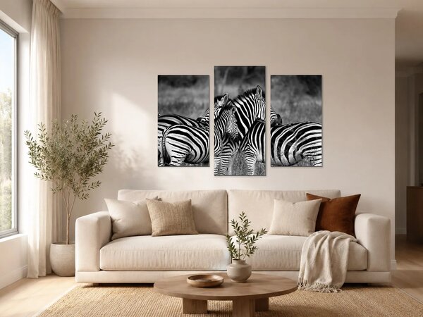 Zebry v černobílém provedení – Třídílný obraz B, 90 × 60 cm