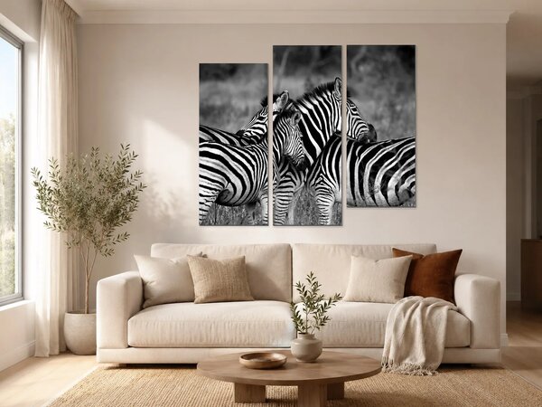 Zebry v černobílém provedení – Třídílný obraz C, 120 × 100 cm