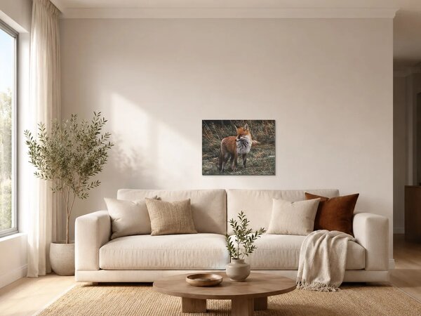 Liška ve vysoké trávě – Jednodílný obraz, 40 × 30 cm