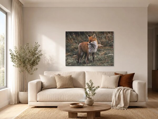 Liška ve vysoké trávě – Jednodílný obraz, 70 × 50 cm