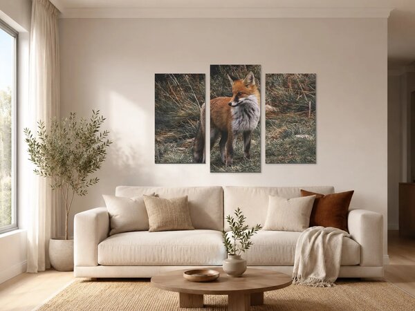 Liška ve vysoké trávě – Třídílný obraz B, 90 × 60 cm