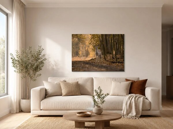 Jelen v podzimním lese – Jednodílný obraz, 70 × 50 cm