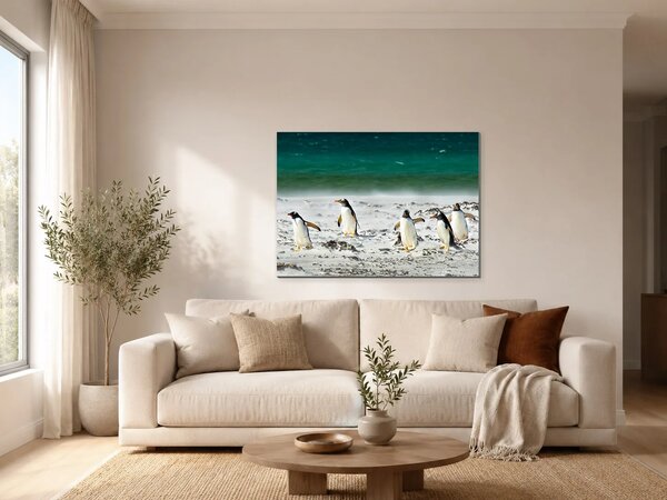 Pět tučňáků na pobřeží – Jednodílný obraz, 70 × 50 cm