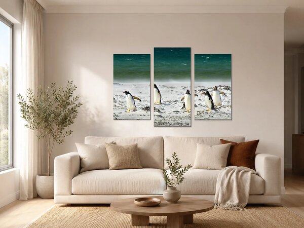 Pět tučňáků na pobřeží – Třídílný obraz B, 90 × 60 cm