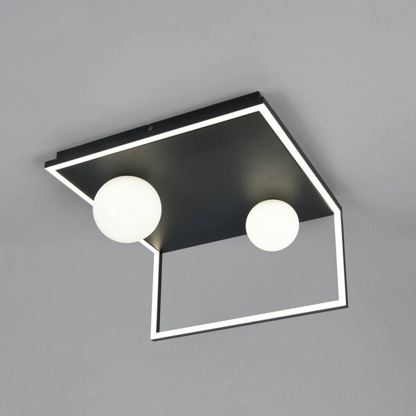 Trio Lighting LED stropní svítidlo Arola, matná černá, šířka 37 cm, kov, stmívatelný, Černá, Obývací pokoj / jídelna, kov, Moderní