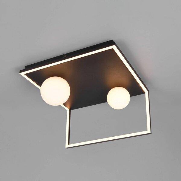 Trio Lighting LED stropní svítidlo Arola, matná černá, šířka 37 cm, kov, stmívatelný, Černá, Obývací pokoj / jídelna, kov, Moderní