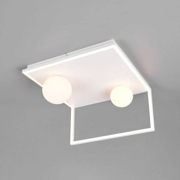 Trio Lighting LED stropní svítidlo Arola, bílá matná, šířka 37 cm, kov, stmívatelný, Bílá / opál, Obývací pokoj / jídelna, kov, Moderní