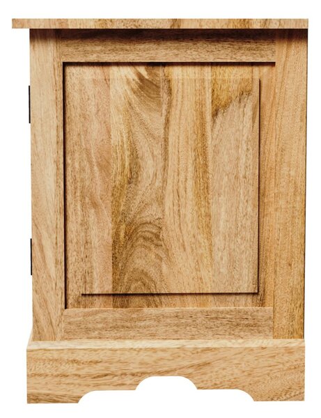 TV stolek Guru 160x60x45 z masivu mango