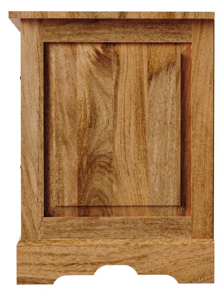 TV stolek 150x60x45 Guru z masivu mango