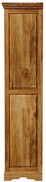 Knihovna Guru 100x200x45 z masivu mango