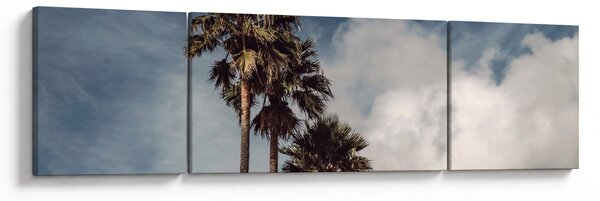 Obraz - Palmové drama (170x50 cm)