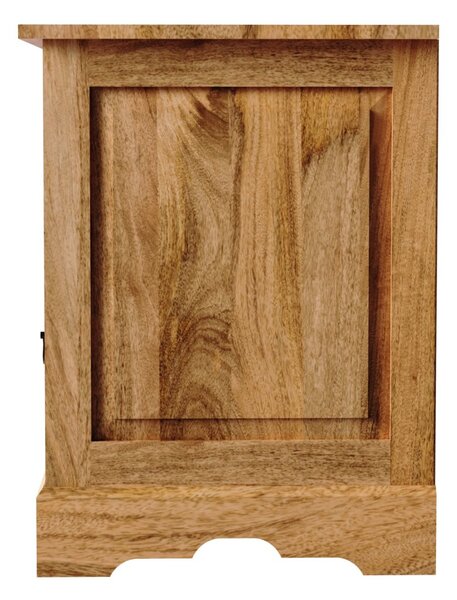 TV stolek 160x60x45 Guru z masivu mango