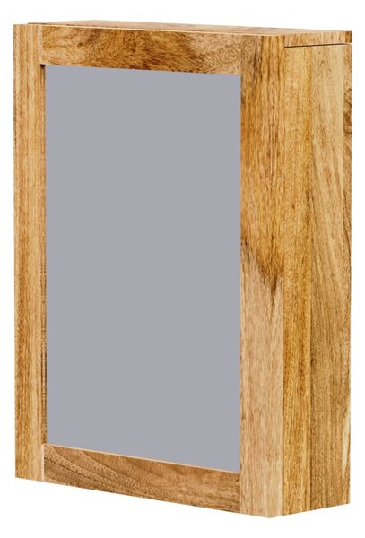 Zrcadlo Guru 50x60 z masivu mango