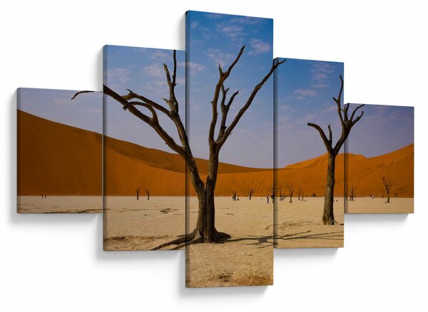 Obraz - Údolí smrti (125x70 cm)