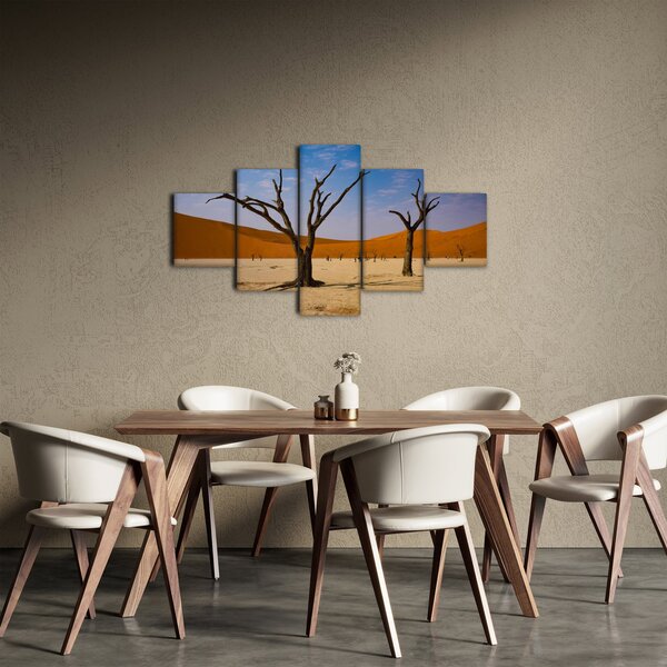 Obraz - Údolí smrti (125x70 cm)