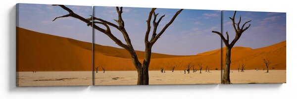 Obraz - Údolí smrti (170x50 cm)