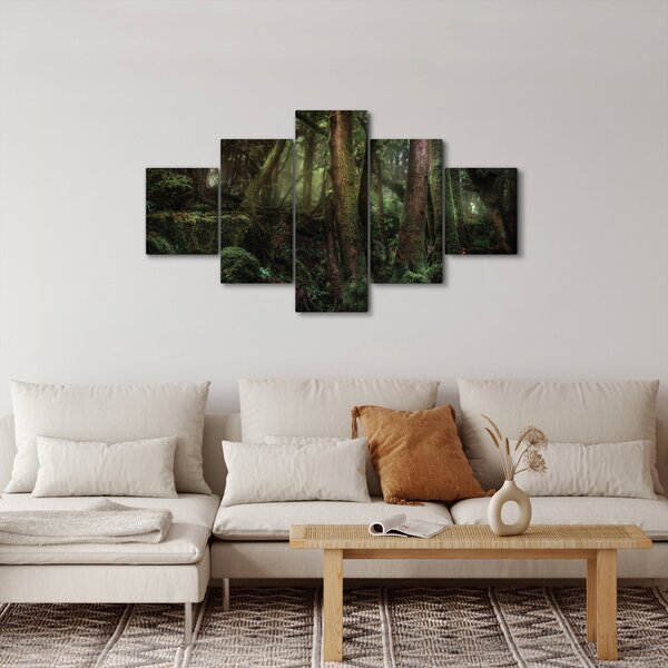 Obraz - Tajemný les (125x70 cm)