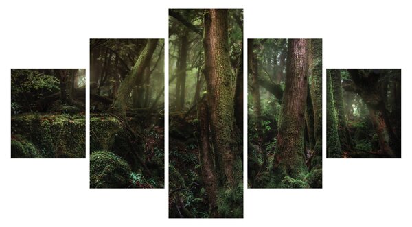 Obraz - Tajemný les (125x70 cm)
