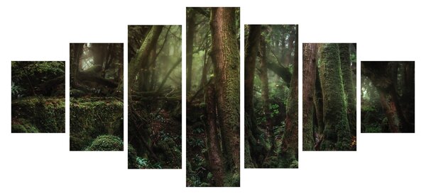 Obraz - Tajemný les (210x100 cm)