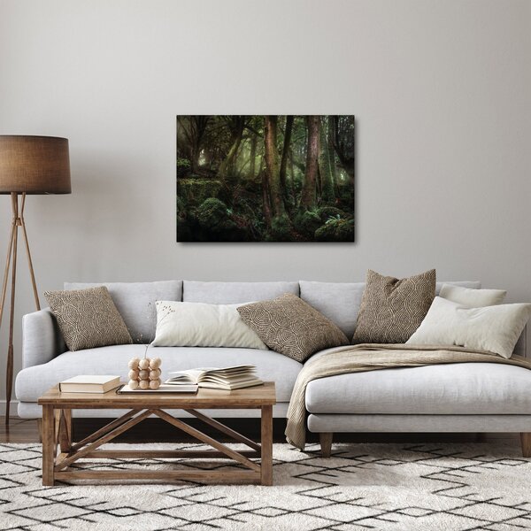 Obraz - Tajemný les (70x50 cm)