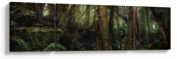 Obraz - Tajemný les (170x50 cm)