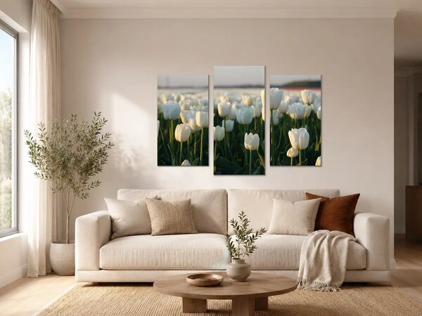Bílé tulipány v podvečerním světle – Třídílný obraz B, 90 × 60 cm