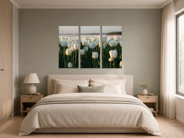 Bílé tulipány v podvečerním světle – Třídílný obraz A, 90 × 60 cm