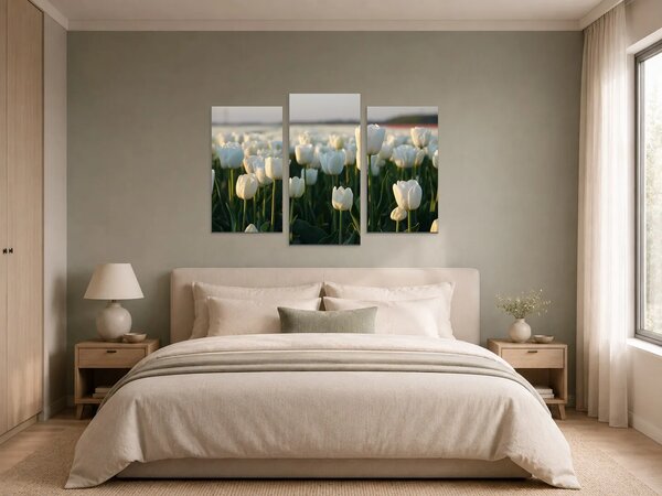 Bílé tulipány v podvečerním světle – Třídílný obraz B, 90 × 60 cm