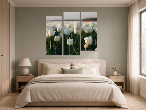 Bílé tulipány v podvečerním světle – Třídílný obraz C, 120 × 80 cm