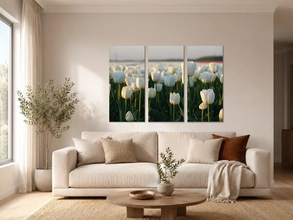 Bílé tulipány v podvečerním světle – Třídílný obraz A, 90 × 60 cm