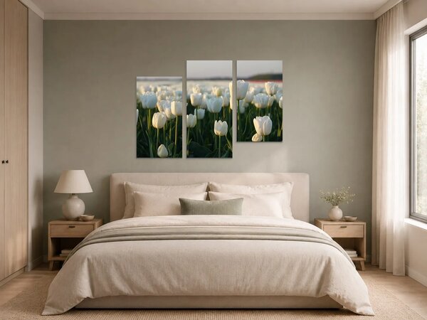 Bílé tulipány v podvečerním světle – Třídílný obraz C, 90 × 60 cm