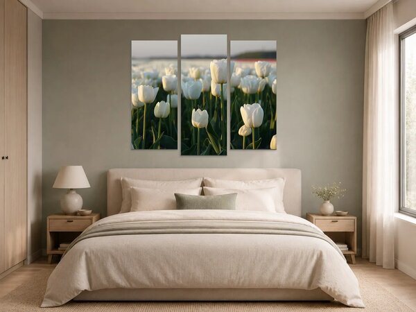 Bílé tulipány v podvečerním světle – Třídílný obraz B, 120 × 100 cm