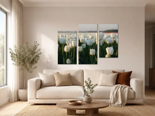 Bílé tulipány v podvečerním světle – Třídílný obraz C, 90 × 60 cm
