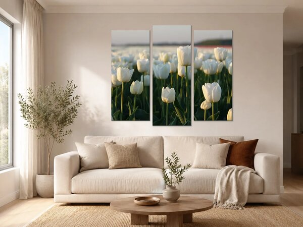 Bílé tulipány v podvečerním světle – Třídílný obraz B, 120 × 100 cm