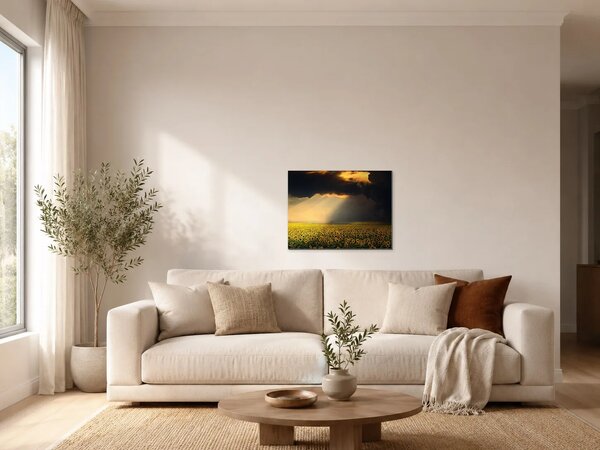 Slunečnicové pole pod dramatickou oblohou – Jednodílný obraz, 60 × 40 cm