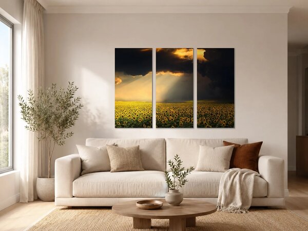 Slunečnicové pole pod dramatickou oblohou – Třídílný obraz A, 90 × 60 cm