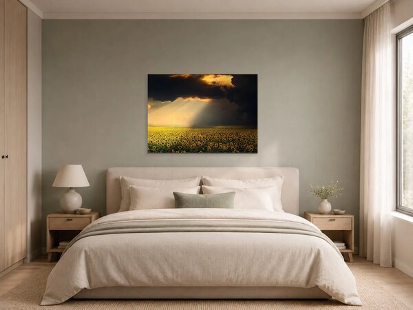 Slunečnicové pole pod dramatickou oblohou – Jednodílný obraz, 70 × 50 cm
