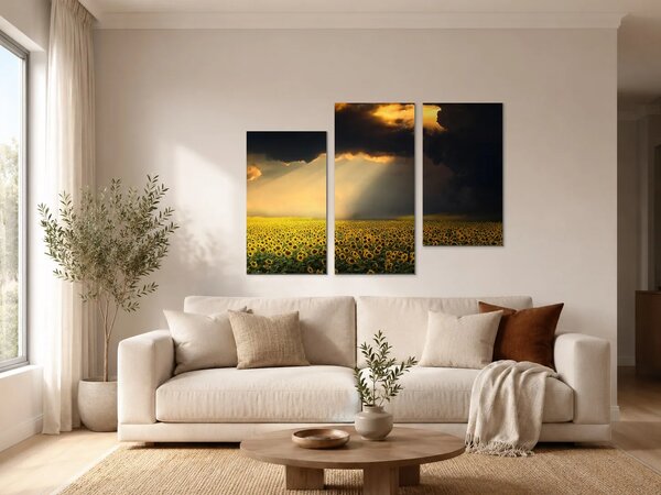Slunečnicové pole pod dramatickou oblohou – Třídílný obraz C, 90 × 60 cm