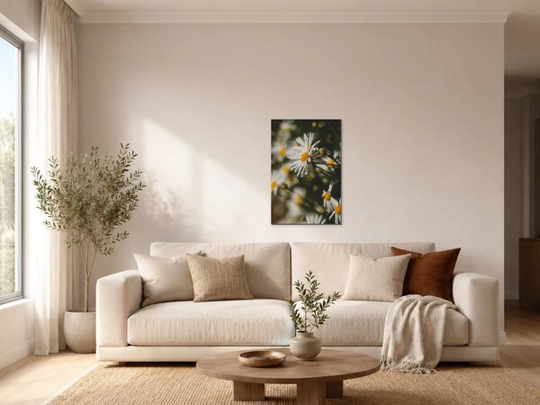Kopretiny v tlumeném světle – Jednodílný obraz, 40 × 60 cm