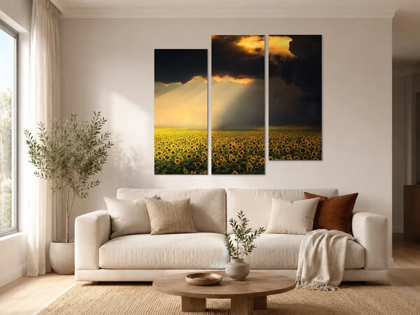 Slunečnicové pole pod dramatickou oblohou – Třídílný obraz C, 120 × 100 cm