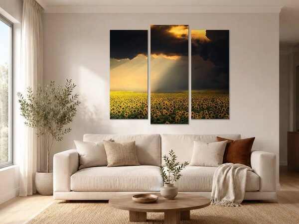 Slunečnicové pole pod dramatickou oblohou – Třídílný obraz B, 120 × 80 cm