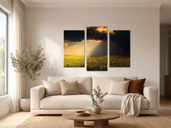 Slunečnicové pole pod dramatickou oblohou – Třídílný obraz B, 90 × 60 cm